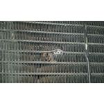 Radiador Agua Para Mg Rover Serie 400