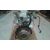 Motor Completo Para Ford Escort Berlina/Turnier