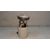 Aforador para Seat Ibiza (6J5)
