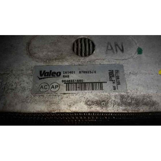 Intercooler Para Peugeot 307 Berlina