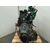 Motor Completo Para Hyundai Atos Prime