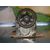 Culata Para Fiat Bravo