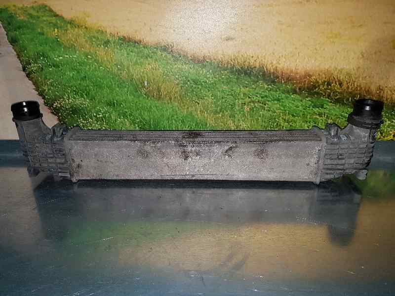 Intercooler Para Seat Alhambra