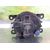 Faro Antiniebla Derecho Para Dacia Sandero