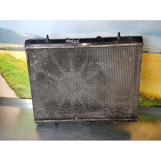 Radiador Agua Para Peugeot 3008