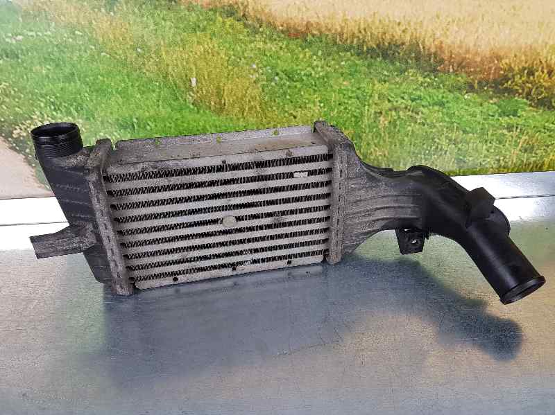Intercooler Para Opel Zafira A