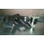 Cinturon Seguridad Trasero Izquierdo Para Suzuki Swift Azg