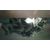 Cinturon Seguridad Trasero Izquierdo Para Suzuki Swift Azg