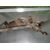 Cremallera Direccion Para Subaru Legacy Kombi/Outback B14