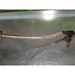 Cremallera Direccion Para Subaru Legacy Kombi/Outback B14