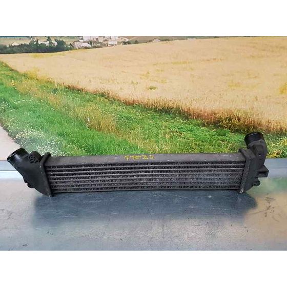 Intercooler Para Renault Kangoo