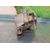 Depresor Freno / Bomba Vacio para Renault Kangoo (F/Kc0)