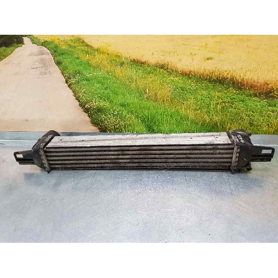 Intercooler Para Citroen Nemo