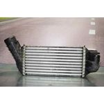 Intercooler Para Citroen C4 Picasso