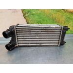 Intercooler Para Citroen Berlingo Station Wagon