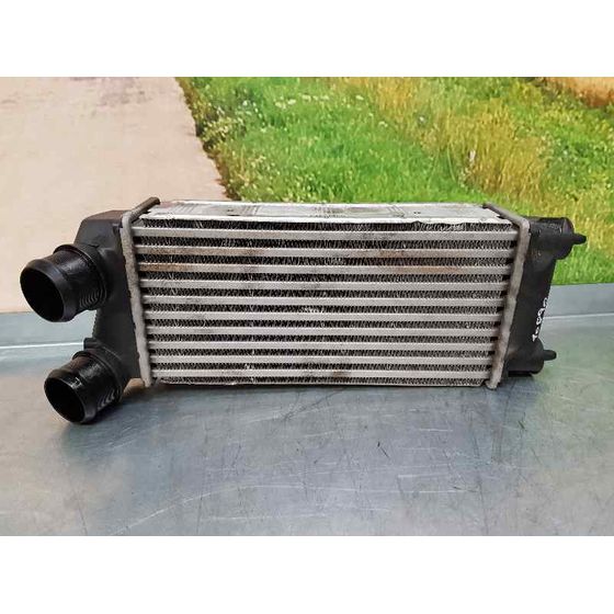 Intercooler Para Citroen Berlingo Station Wagon