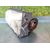 Kit Airbag para Lexus Rx 300