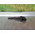 Bobina Encendido para Peugeot 207 Sw