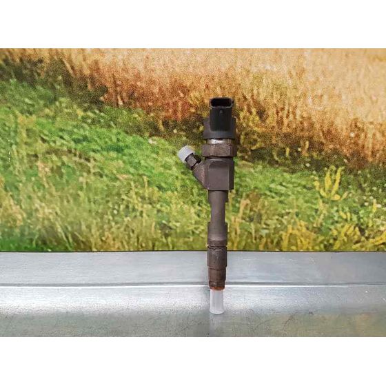 Inyector para Renault Scenic Ii
