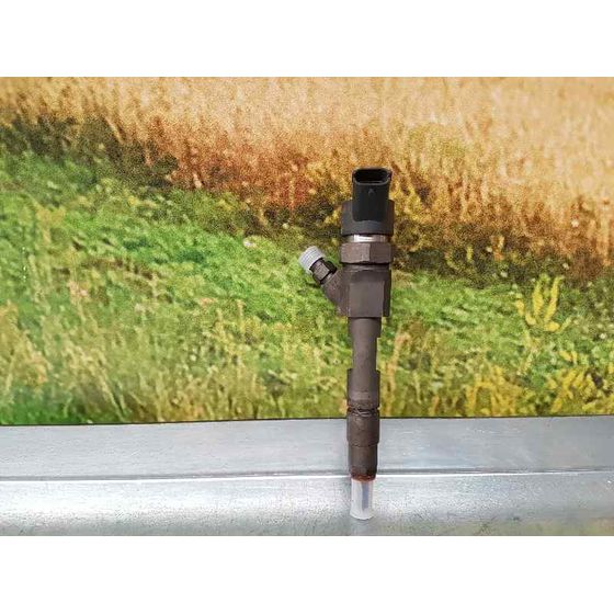 Inyector para Renault Scenic Ii
