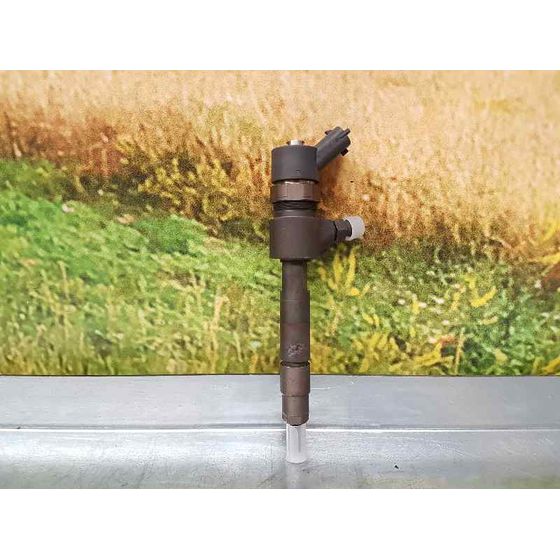 Inyector para Fiat Bravo (198)