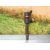 Inyector para Fiat Bravo (198)