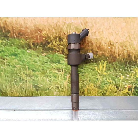 Inyector para Fiat Bravo (198)