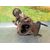 Turbocompresor para Opel Corsa D