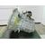 Caja Cambios Para Ford Focus Berlina
