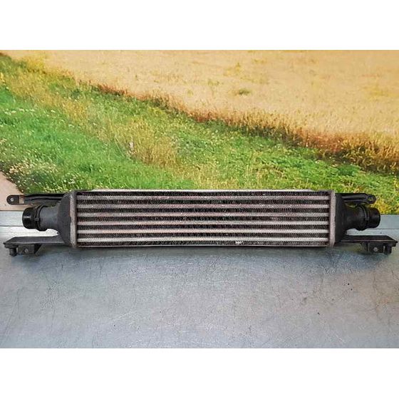Intercooler Para Opel Corsa D