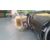 Elevalunas Delantero Derecho Para Hyundai Getz
