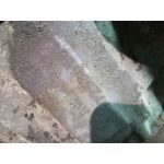 Caja Cambios Para Peugeot 306 Berlina 3/5 Puertas