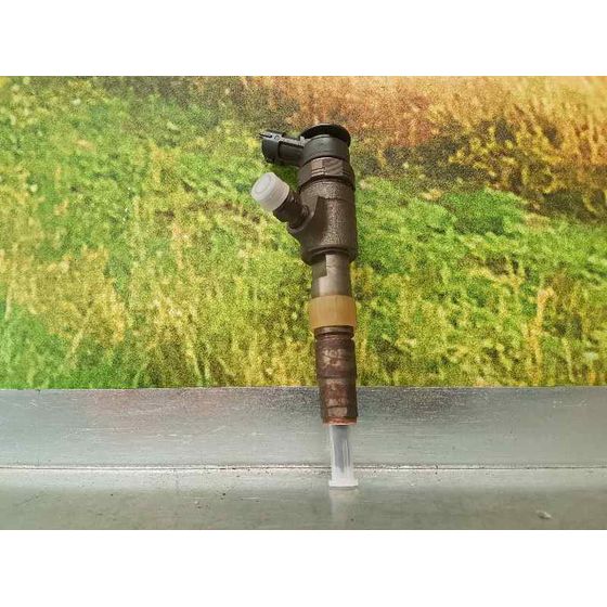 Inyector Para Citroen C3