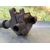 Bobina Encendido para Alfa Romeo 147 (190)
