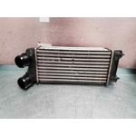 Intercooler Para Citroen Berlingo Station Wagon