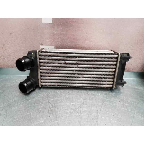 Intercooler Para Citroen Berlingo Station Wagon