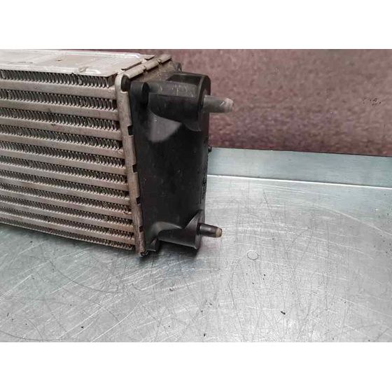 Intercooler Para Citroen Berlingo Station Wagon