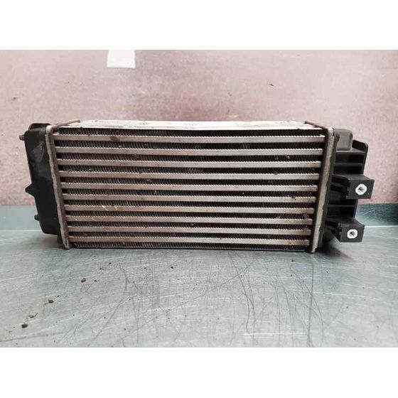 Intercooler Para Citroen Berlingo Station Wagon