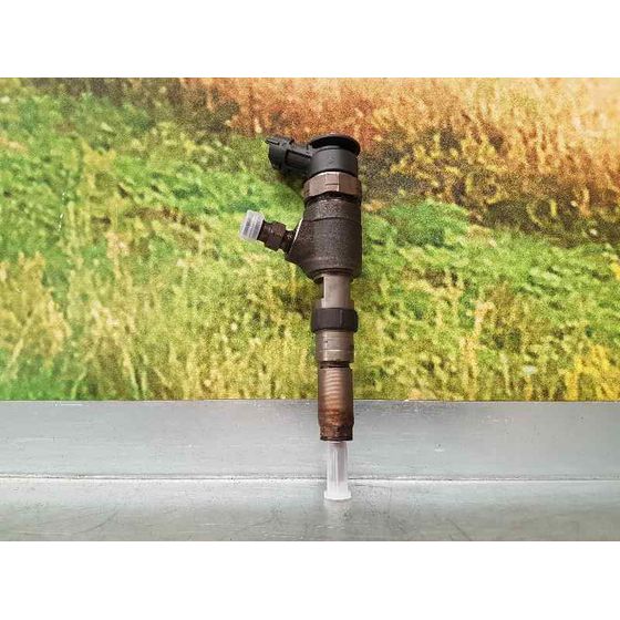 Inyector Para Peugeot Bipper