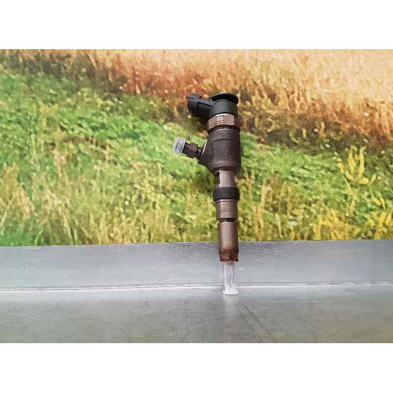 Inyector para Peugeot Bipper
