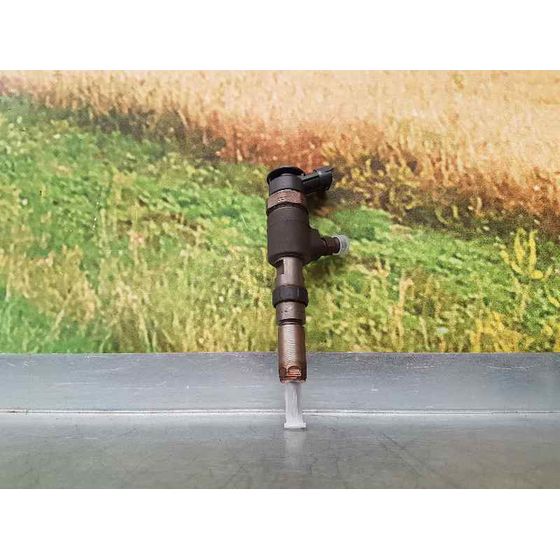 Inyector para Peugeot Bipper