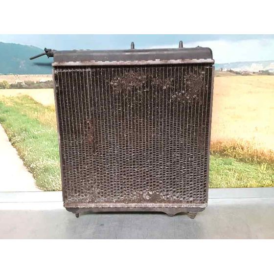 Radiador Agua Para Citroen C3