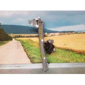 Elevalunas Delantero Izquierdo Para Peugeot 308