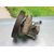 Bomba Direccion Para Peugeot 306 Berlina 3/4/5 Puertas
