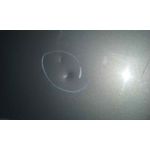Capot para Fiat Panda (169)