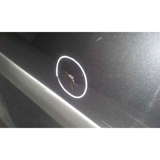Puerta Delantera Derecha Para Ford C-Max