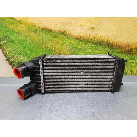 Intercooler Para Peugeot Expert Kasten