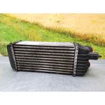 Intercooler Para Peugeot Expert Kasten