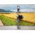 Elevalunas Delantero Izquierdo Para Dacia Dokker Express