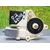 Motor Elevalunas Trasero Derecho Para Renault Megane Iii Berlina 5 P